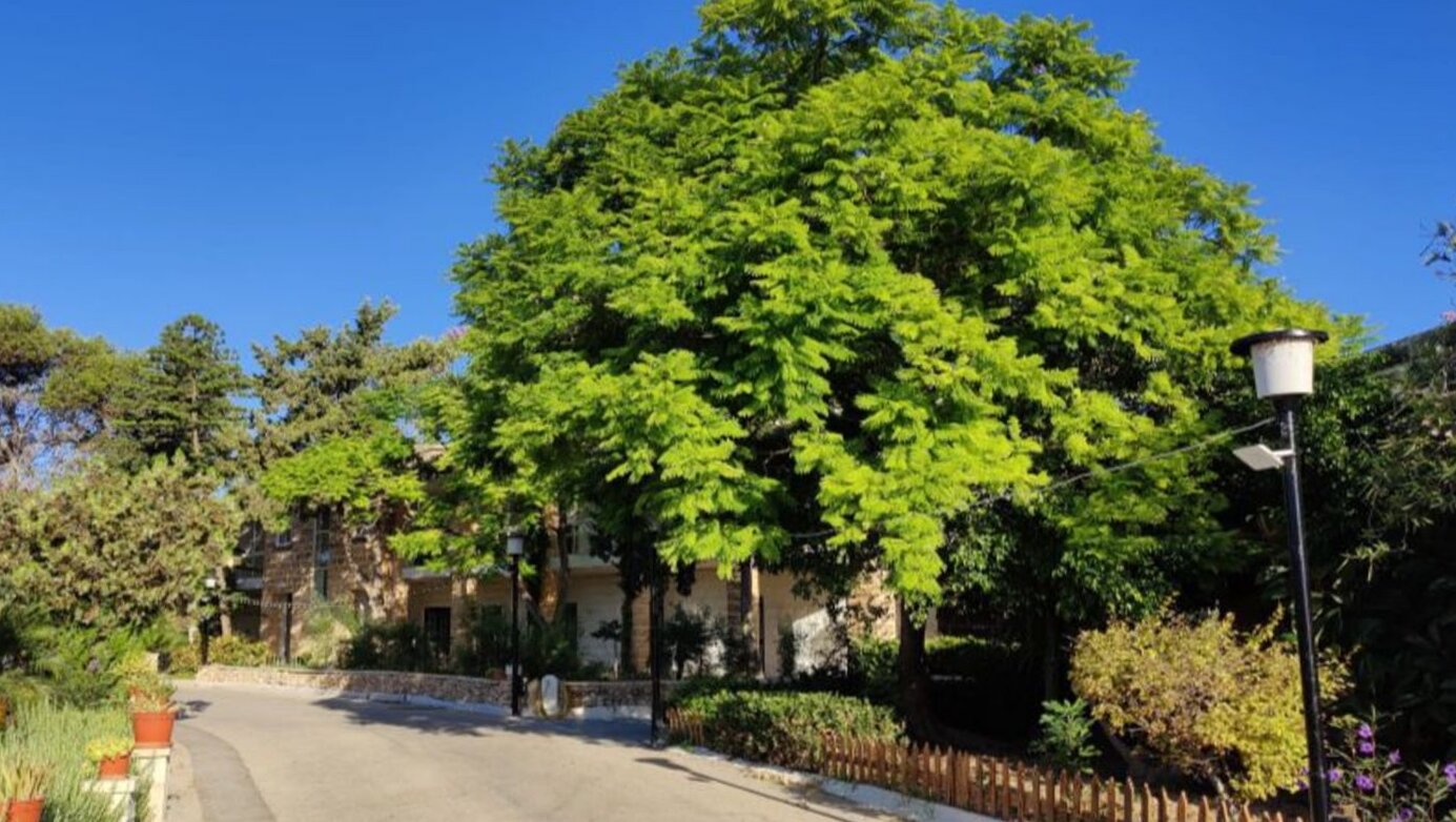 Caritas Malta - San Blas Therapeutic Community
