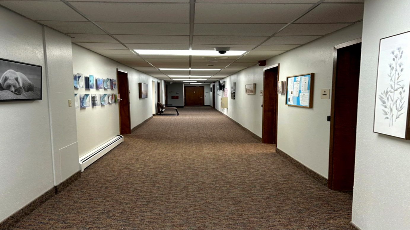 Centre Williston