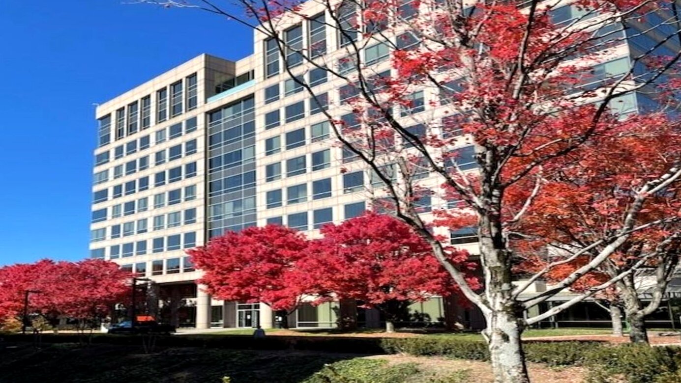 Ellie Mental Health Atlanta Sandy Springs