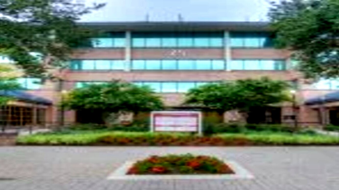 Ellie Mental Health Owings Mills