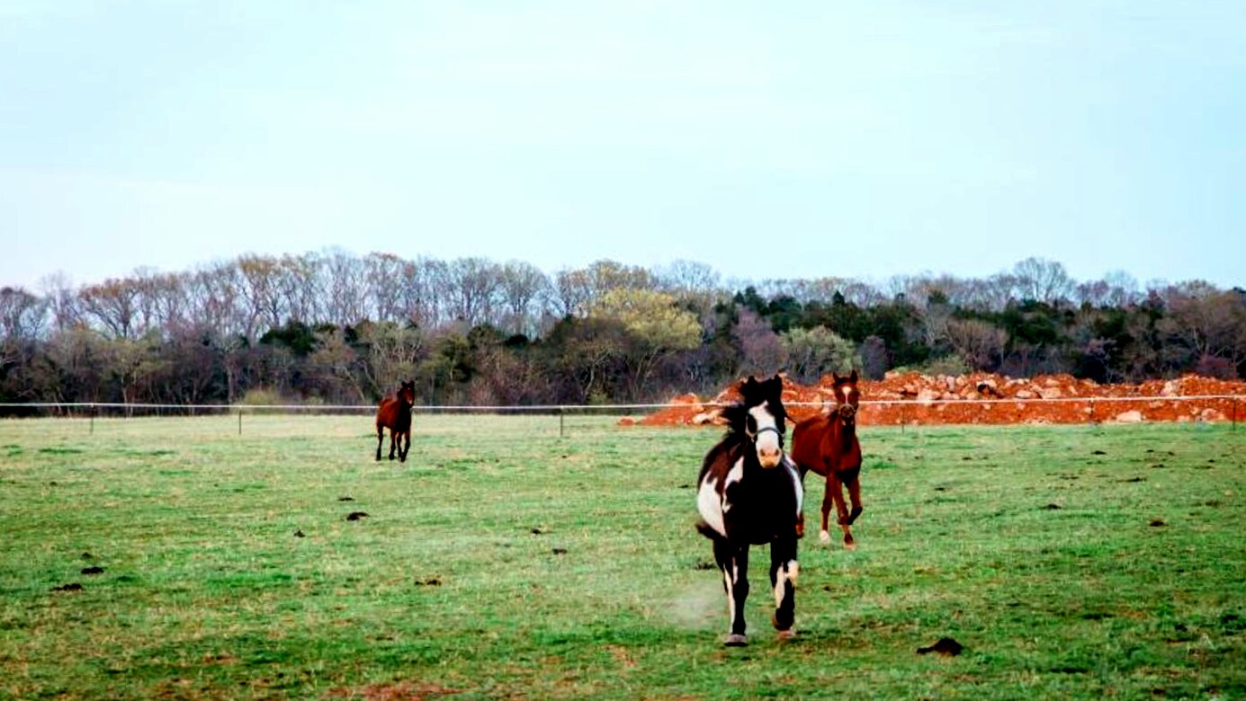 JourneyPure - Tennessee