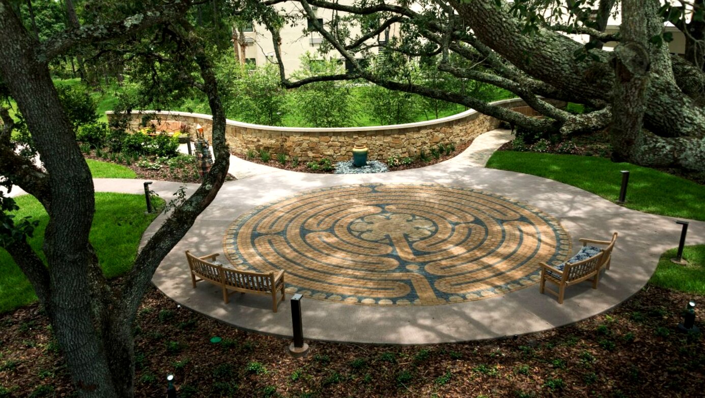 Koru Spring