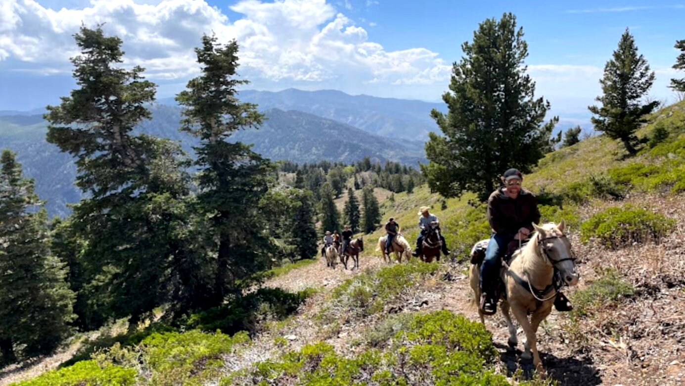 Mountain Valley Recovery