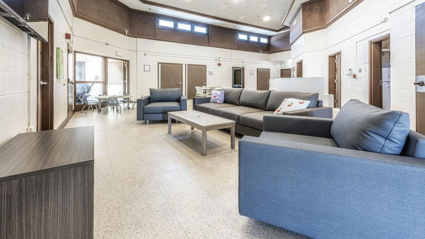 The Ness Center