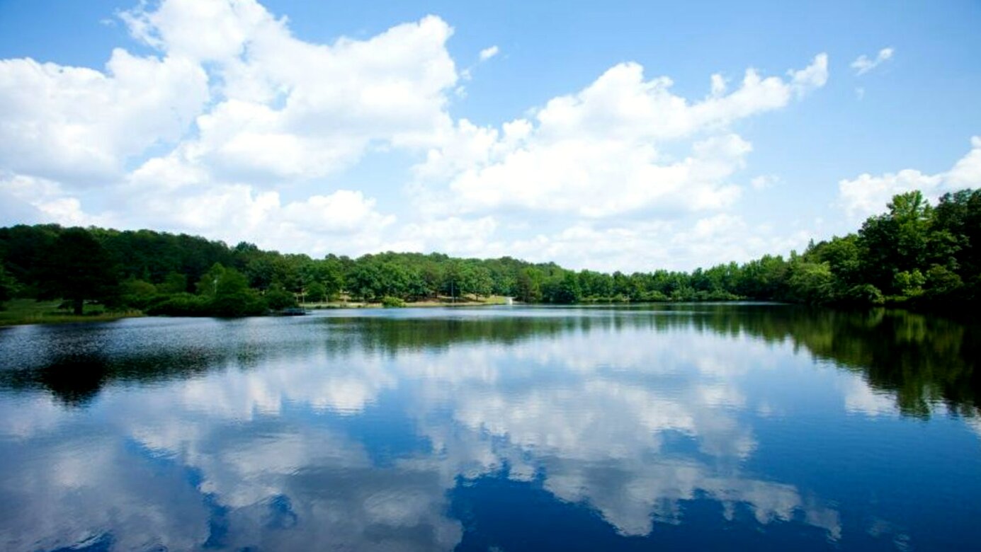 Oasis Renewal Center