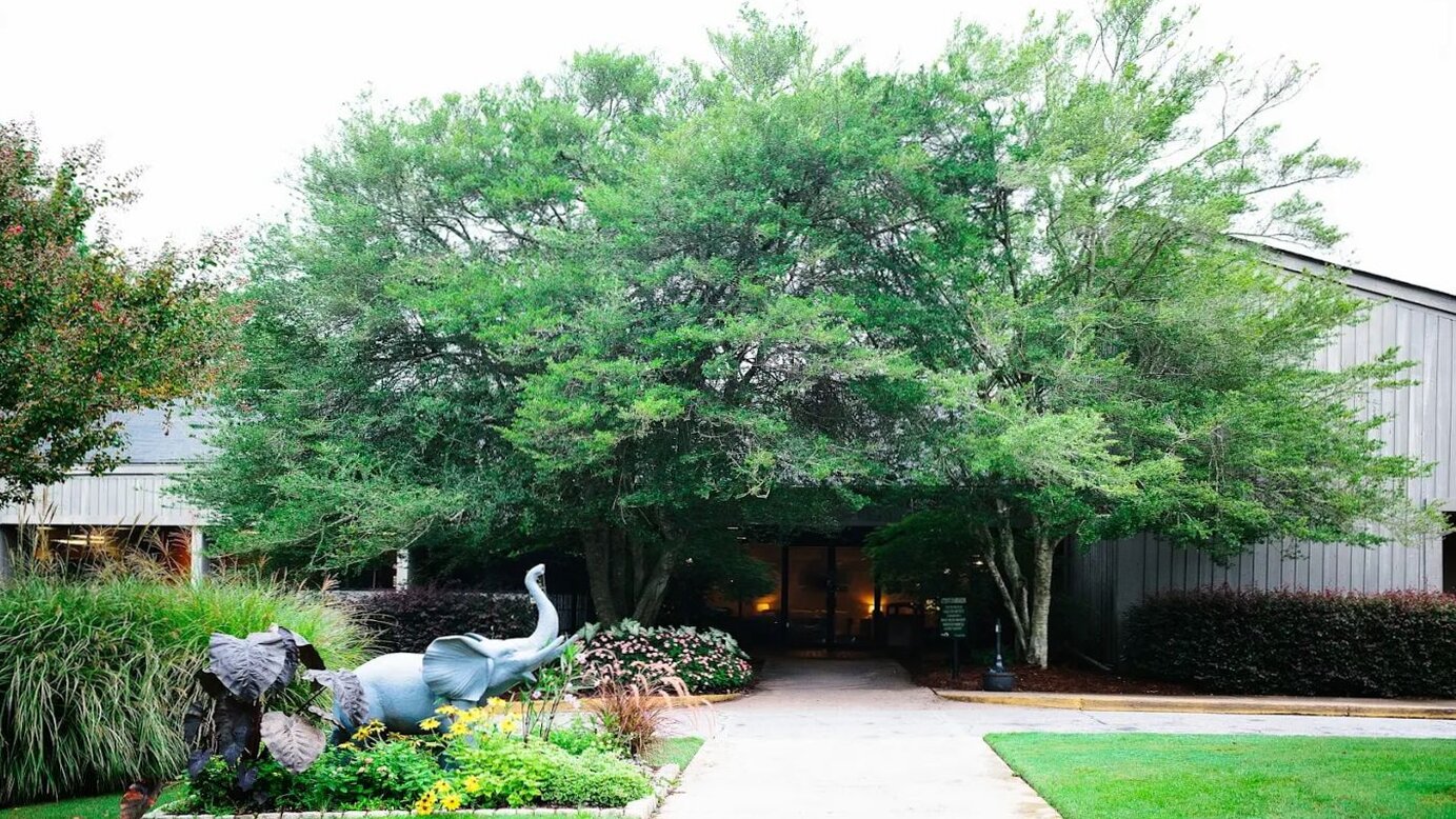 Ridgeview Institute Smyrna